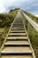 Lookout steps on Bruny island neck nature reserve