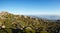 Lookout at Summit of Mt Kunanyi Mt Wellington above Hobart Tasmania