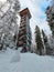 Lookout tower among coniferous trees. Bird observation tower at the national park. Snowman stands at the foot of the observation