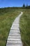 The Lookout Trail Boardwalk