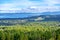 Lookout view of Ladysmith shoreline from top of a mountain, Vancouver Island, BC, Canada