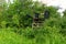 Lookout wooden ladder seat, also known as hunter`s seat, hunter`s high seat between the trees in nature for observing wild animals