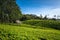 The Loolecondera estate was the first tea plantation estate in Sri Lanka Ceylon