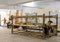 Loom and workers inside the Oriental Carpet School in the Saqqara region of Egypt.