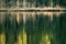 Loons with lake reflections