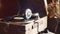 Loop-able Vintage Video of Old Gramophone, playing a record, close up slow motion