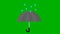 Loop animation an open umbrella and raindrops