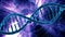 Loop rotation of the DNA of human cells