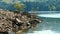 Loopable lake shore tranquil scene on rocky small tree background