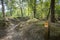 Loopgravenpad, walkway through trenches, in Mastenbos Kapellen, part of the Flanders Fields