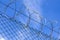 Loops of spiked or razor wire curling around long stretches of barbed wire against a blue sky, close up