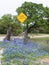 A loose livestock sign along a country road in Texas.