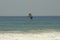 Loosely hawk soars over the sea