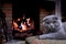 A lop-eared cat by the fireplace