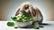 A lop-eared rabbit is seen eating from a bowl full of fresh salad