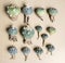 Lophophora and Astrophytum asterias on brown paper