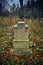 LOPIENKA, POLAND - NOVEMBER 03, 2018: Grave in the old Lemko cemetery in the Bieszczady mountains Poland on a misty autumn day