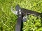 Lopper, pruner, cutting garden tool,