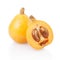 Loquat