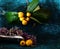 Loquat fruits and allium flowers over brow background