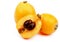 Loquat Medlar Fruit
