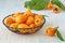 Loquat Medlar fruit with leaves in metal basket