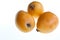 Loquats