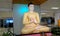 Lord buddha statue with sandal color in an airport srilanka