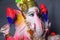 The lord of ganesha. Hindu God Ganesha. Ganesha colerful Idol. Indian culture. ganesh chaturthi