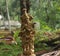 Lord krishna brass idol in golden color