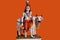 Lord Shiva idol from marble