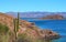 Loreto bays in the sea of baja california sur IV