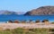 Loreto bays in the sea of baja california sur XXIX