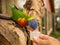 Lori parrot drinking from cup