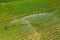 Loriol sur Drome, France - August 2022: Aerial view by a drone of a field being irrigated by powerful irrigation system.