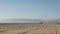 LOS ANGELES CA USA - 16 NOV 2019: California summertime Venice beach aesthetic. Sea gulls on sunny california coast, iconic retro