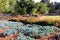 Los Angeles, California: Tom Labonge Aqueduct Centennial Garden