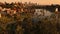 Los Angeles Downtown Sunset from Echo Park Aerial Shot Palm Trees Elevate Tilt Down in California USA