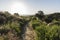 Los Angeles Nature Park Spring Meadow