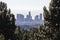Los Angeles Skyline Forest View
