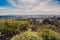 Los Angeles Skyline with its skyscrappers from the Hollywood Hills, California, USA