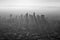 Los Angeles Summer Smog Black and White Aerial