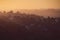 Los Angeles unusual panorama of skyscrapers in the morning light. LAC, LA, California