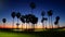 Los Angeles Venice Beach palm trees californian orange purple sunset panorama