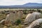 Los Barruecos Natural Monument, Malpartida de Caceres, Extremadura, Spain