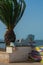 LOS NIETOS, SPAIN - 19 SEPTEMBER 2022 Seahorse sculptures on the shore of the Mar Menor lagoon, with the resort of La Manga on