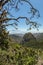 Los roques and famous Agando rock - cult place near Garajonay national park at La Gomera. Old volcanic mountain peaks. Thickets of