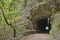 Los Tilos Trail Tunnel, La Palma