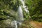 Los Tilos waterfall and Laurisilva forest in La Palma, Canary Islands, Spain
