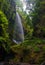Los Tilos waterfall, San Andres y Sauces